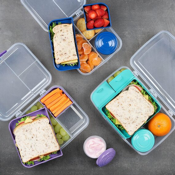 Sistema Bento Box TO GO Lunchbox | Frischhaltedose mit Joghurt- /Fruchtbehälter | 1,65 l | BPA-frei | gemischte Farben (variiert je nach Packung) | 1 Stück